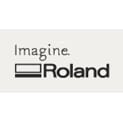 imagine roland