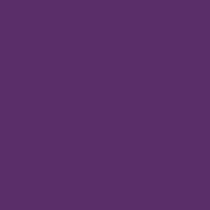 Oracal 751CG Violet  1260mm x 50M