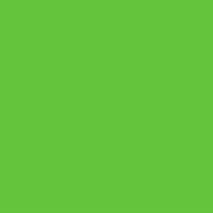 Oracal 751CG Limetree Green  1260mm x 50M
