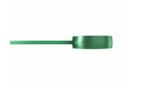 Bridge+Line.png